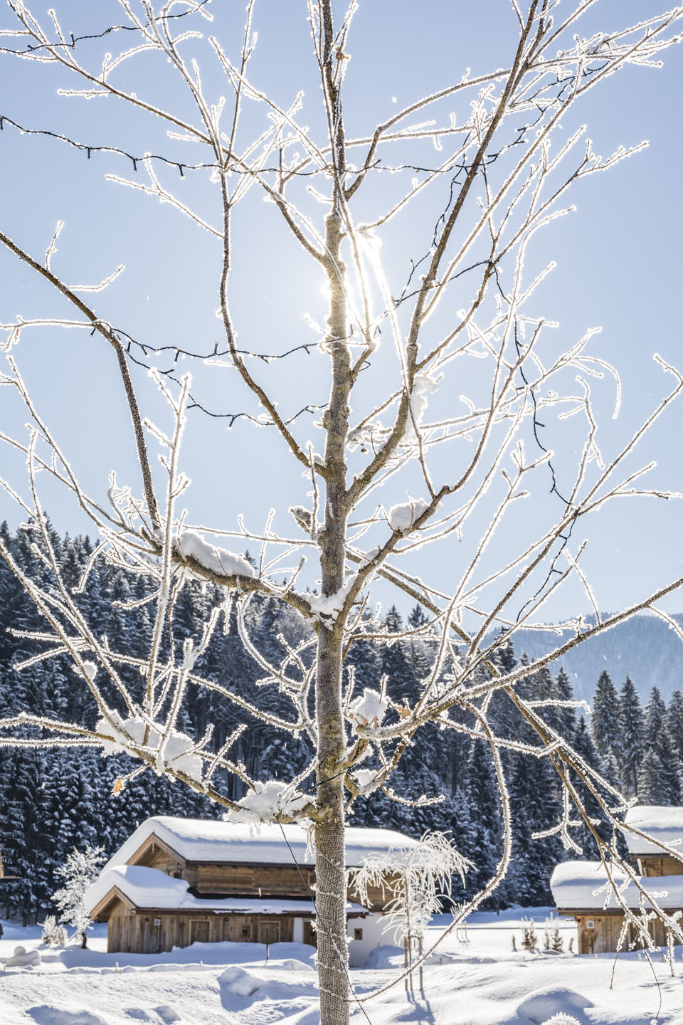 Gut Steinbach - chalets -reit im winkl - Winter